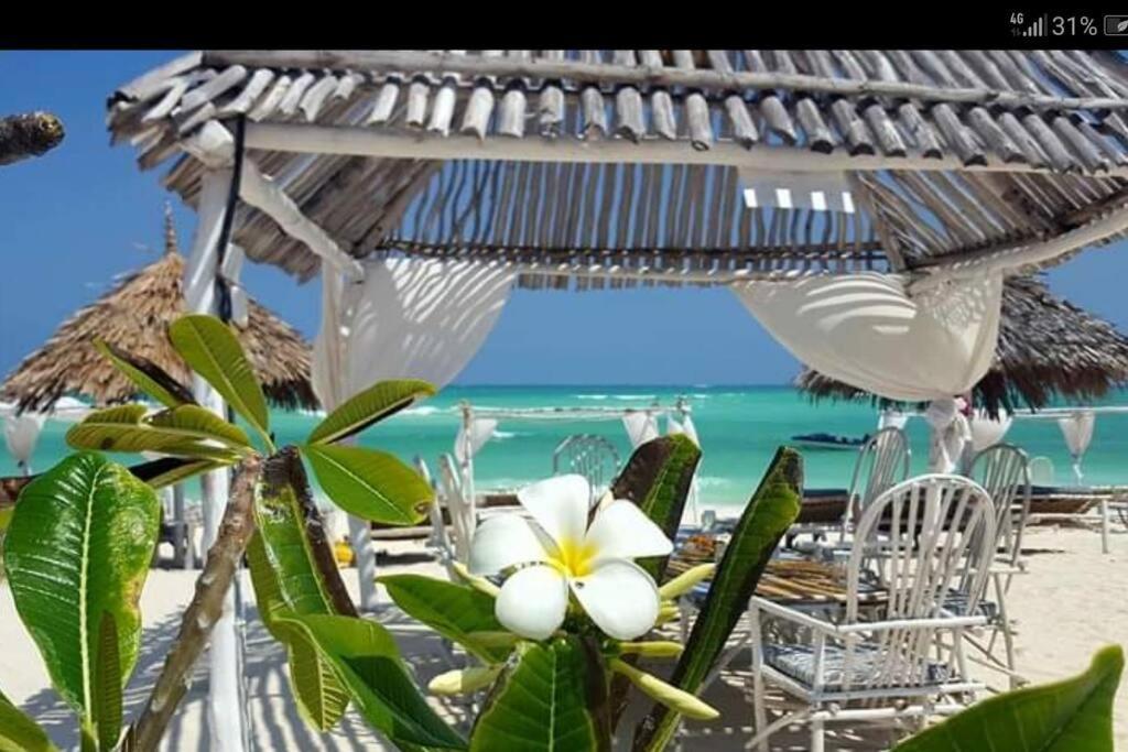 Appartamento Luxury Simba House In Watamu ☆☆☆☆☆ Esterno foto